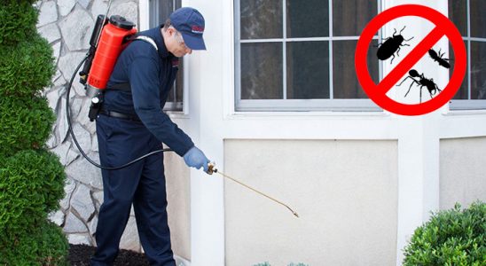 Sütçüler Akrep İlaçlama böcek ilaçlama ve haşere kontrolü — ilaclama-tr.com